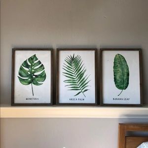 Botanical decor